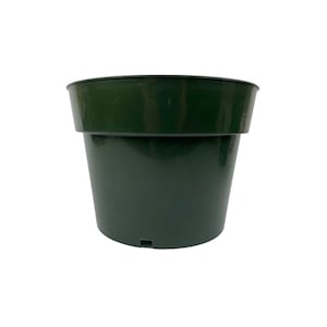 May include: A dark green plastic plant pot with a drainage hole in the bottom.