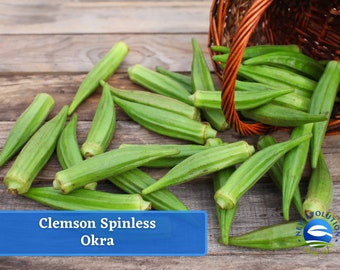 May include: A basket of fresh green okra, spilling onto a wooden surface. The okra is labeled "Clemson Spineless Okra".