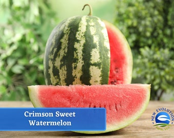 Watermelon - Crimson Sweet Watermelon Seeds - Heirloom Seed Packet, Non-GMO