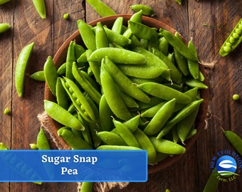 May include: A bowl of fresh green sugar snap peas on a wooden surface. The peas are arranged in a pile and are ready to be eaten.