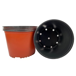 plant pot with face Face Plant Planter – Little Red Wagon Native Nursery main image 1