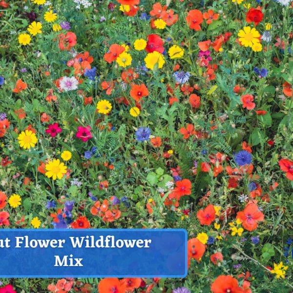 Cut Flower Wildflower Seed Mix - Wildflower Seed Packets, Non-GMO, Open Pollinated