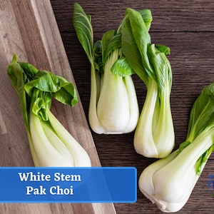 Pak Choi White Stem Cabbage Seeds - Heirloom Seed Packet, Non-GMO, Bok Choy, Pok Choi, Chinese Cabbage