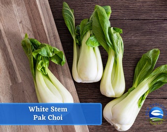 May include: Four bunches of white stem bok choy on a wooden surface. The bok choy has white stems and dark green leaves. The text "White Stem Pak Choi" is on a blue banner.