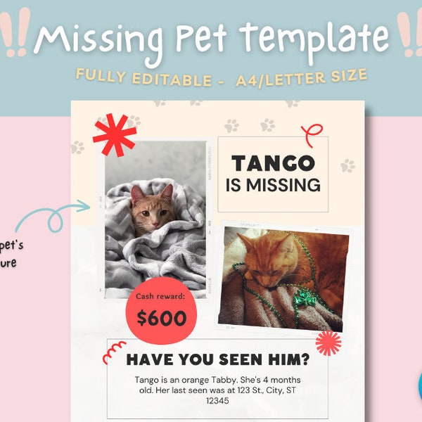 Missing pet poster, missing pet template, Customizable Missing Pet Poster Template, editable flyer