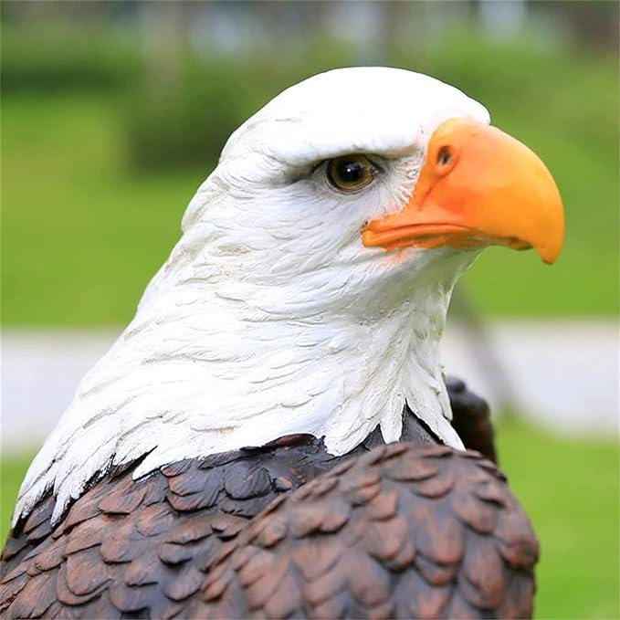 Lifesize Concrete Bald Eagle Statue – 24" Outdoor Garden Decor, Patriotic Yard Art photo 2