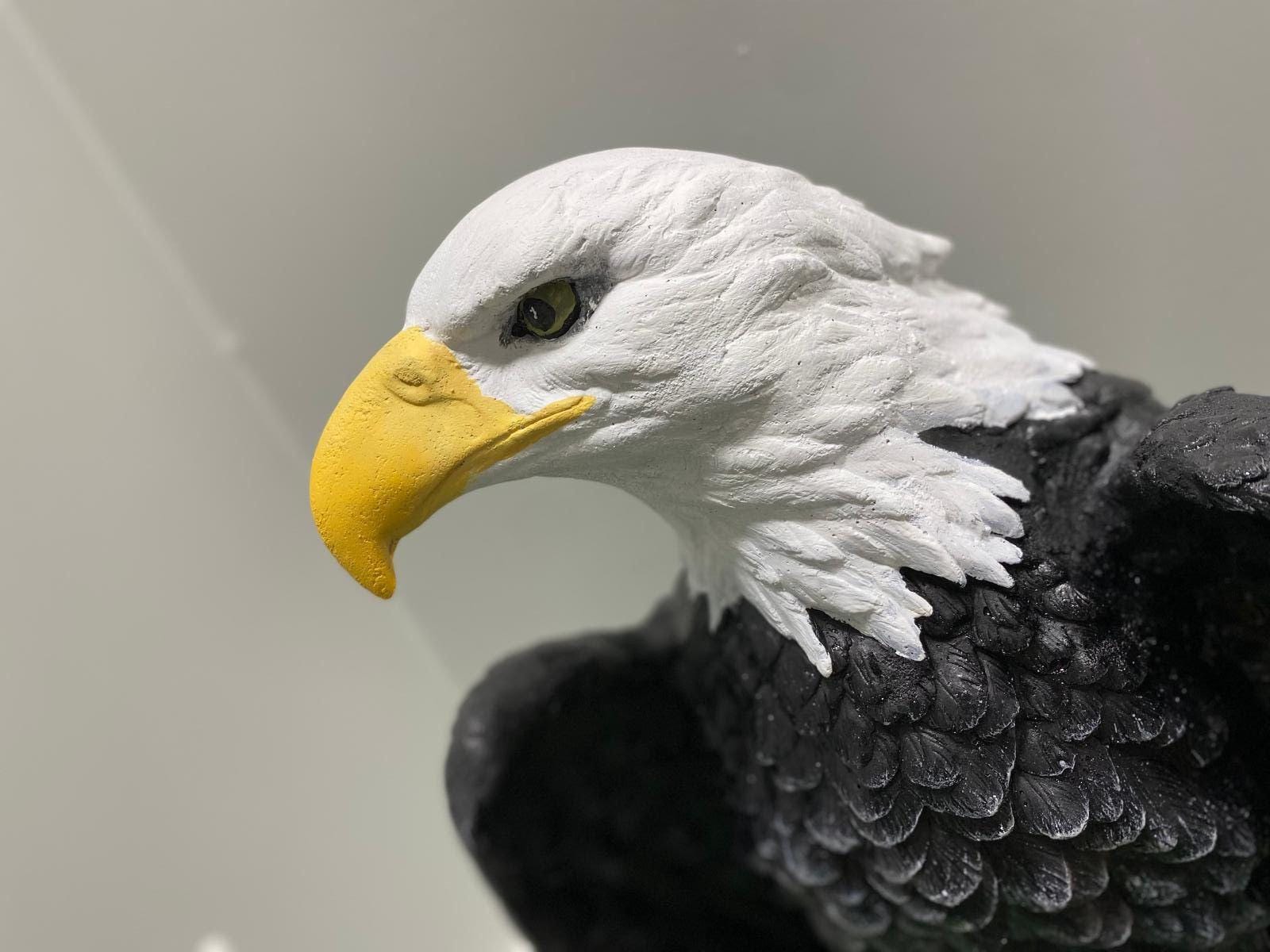 Large Concrete Bald Eagle Statue, 70 lb Outdoor Garden Sculpture, Hand-Painted Patriotic American Yard & Entrance Decor photo 5
