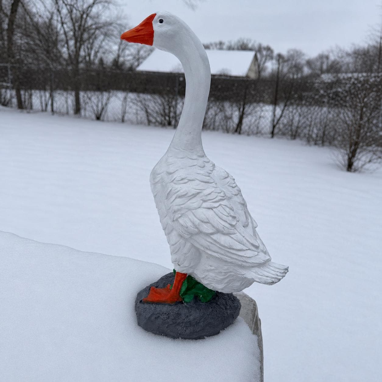 Heavy Concrete Porch Goose Statue, 20 Inch Cement Dress Up Goose, Outdoor Garden Yard Decor, Hand Painted or Unpainted Goose Gift photo 8