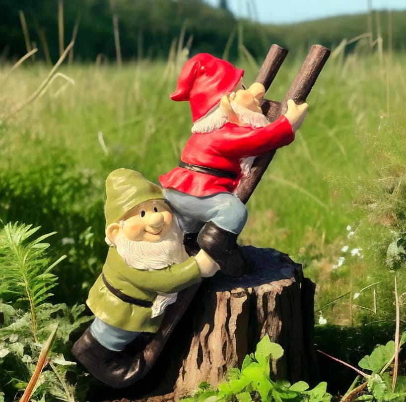 Climbing Gnome Duo – Polyresin Garden Statue, Funny Outdoor Decor photo 5