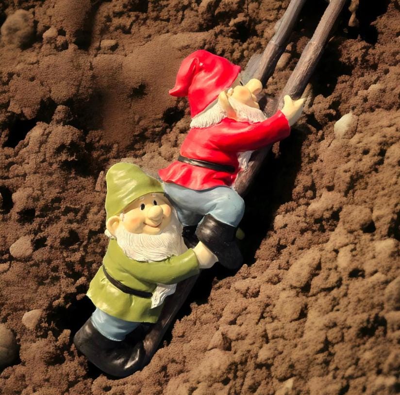 Climbing Gnome Duo – Polyresin Garden Statue, Funny Outdoor Decor