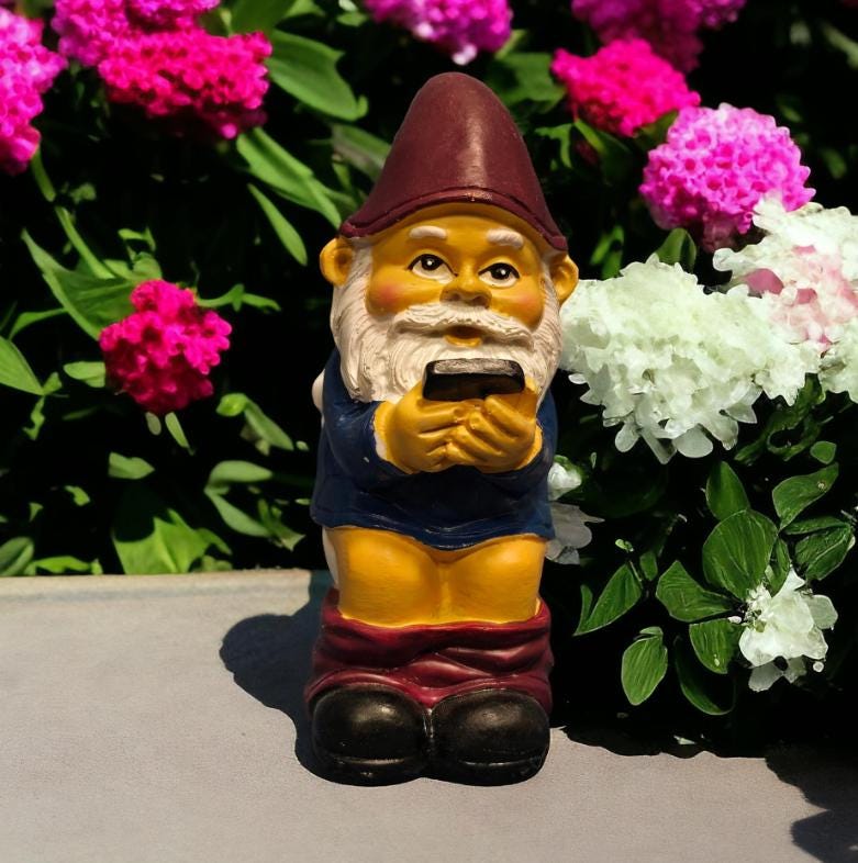 Funny Gnome on Toilet – Resin Garden Statue, Bathroom Decor photo 4