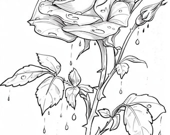 Embrace the Beauty of Roses!  Over 250 Rose Coloring Pages - Printable, Digital Download