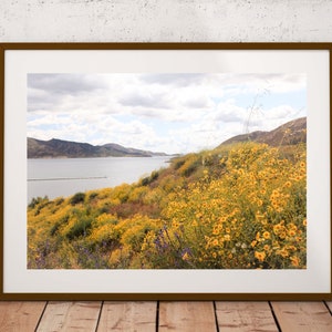 Floral Art Print California Yellow Wildflowers Photography California Spring Lanscape Wall Art Nature Digital Print Flowers Digital Art