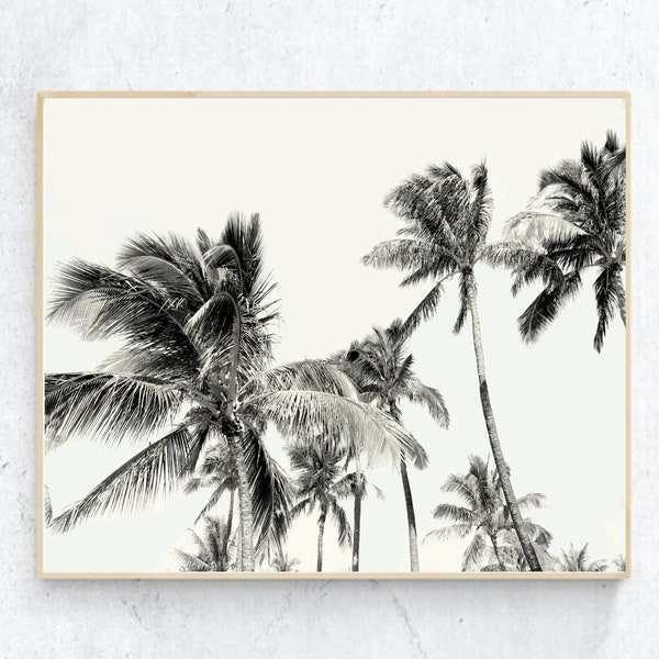 Black and White Palm Print Black White Palm Trees Photography Digital Download Tropical Tree Printable Art Instant Download Palm Art Poster