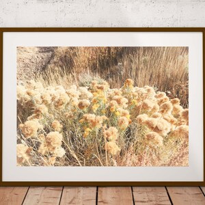 Grass Print Golden Grass Photography Digital Art Golden Grass Field Art Print Wildflowers Field Wall Art Nature Landscape Printable Art