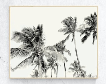 Black and White Palm Print Black White Palm Trees Photography Digital Download Tropical Tree Printable Art Instant Download Palm Art Poster