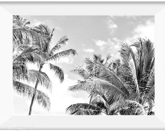 Black and White Palm Tree Print Black White Palm Photography Digital Download Palm Leaves Wall Art Tropical Printable Art Instant Download