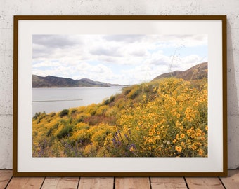 Floral Art Print California Yellow Wildflowers Photography California Spring Lanscape Wall Art Nature Digital Print Flowers Digital Art