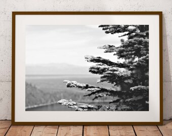Lake Tahoe Print Black White Pine Tree Photography Pine Tree Digital Download Black and White Art Print Pine Tree Print Nature Landscape Art