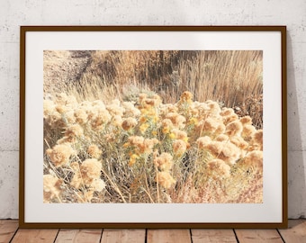 Grass Print Golden Grass Photography Digital Art Golden Grass Field Art Print Wildflowers Field Wall Art Nature Landscape Printable Art