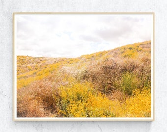 Stampa artistica floreale California Yellow Wildflowers Fotografia Golden Grass Wildflowers Wall Art Natura Stampa digitale Fiori primaverili Arte digitale