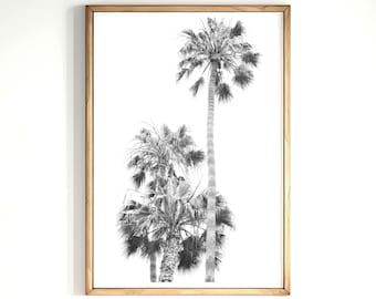 Black and White Palm Trees Print Digital Download Black White Palm Photography Wall Art Instant Download Tropical Trees Printable Art Poster