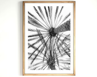 Black and White Palm Tree Print Digital Download Black White Palm Photography Printable Art Instant Download Palm Leaves Wall Art Poster