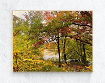 Autumn Foliage Print Instant Download Fall Foliage Photography Printable Art Digital Download Autumn Landscape Wall Art Home Decor Poster