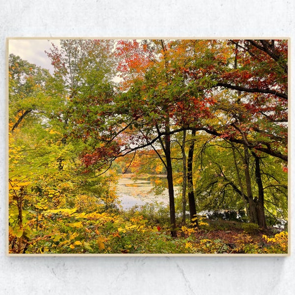 Autumn Foliage Print Instant Download Fall Foliage Photography Printable Art Digital Download Autumn Landscape Wall Art Home Decor Poster