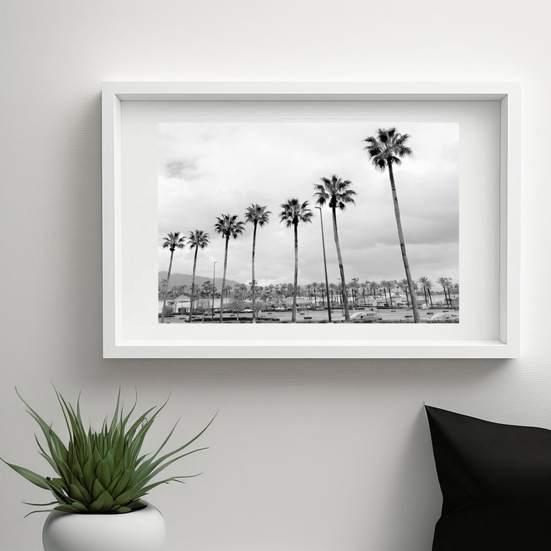 Black and White Palm Tree Print Palm Art Black White - Etsy