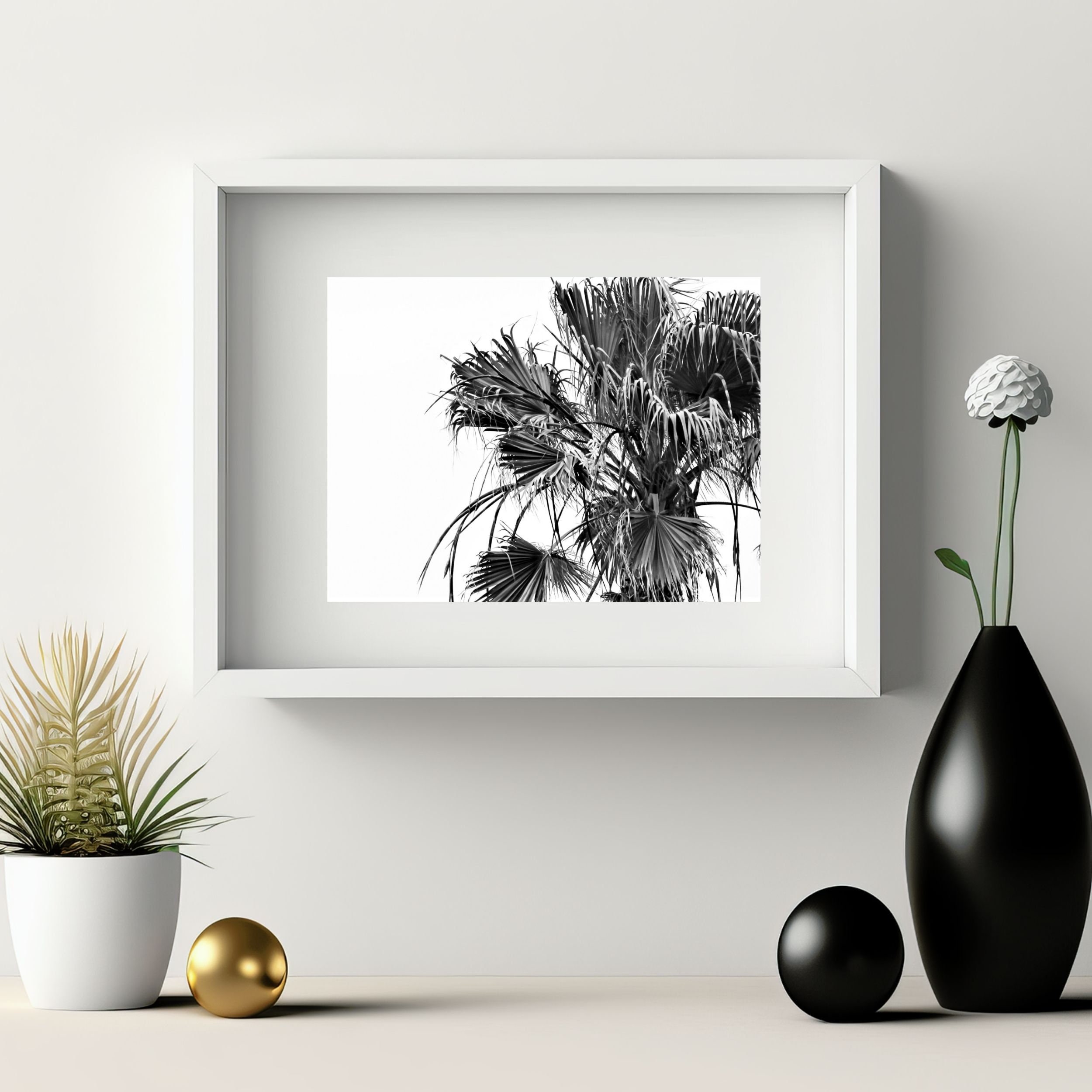 Palm Tree Print Palm Black and White Photography Palm Tree Leaves Art ...