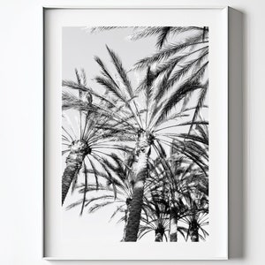 Black and White Palm Trees Print Digital Download Black White Palm Photography Printable Art Instant Download Tropical Trees Wall Art Poster