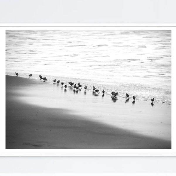 Black and White Beach Print Digital Download Black White Coastal Photography Instant Download Sand Beach Seabirds Printable Art Ocean Poster