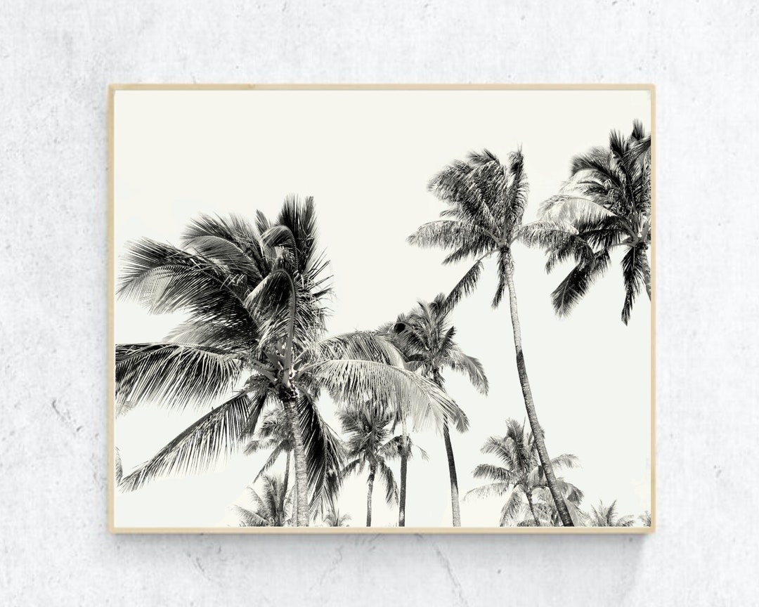 Black and White Palm Print Black White Palm Trees Photography Etsy