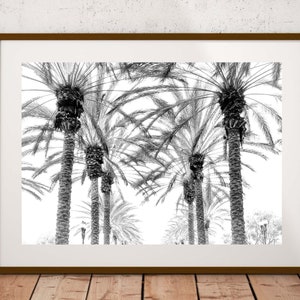 Black and White Palm Trees Photography Digital Download Black White Palm Print Instant Download California Lanscape Wall Art Home Decor