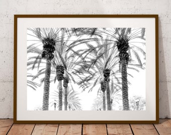 Black and White Palm Trees Photography Digital Download Black White Palm Print Instant Download California Lanscape Wall Art Home Decor