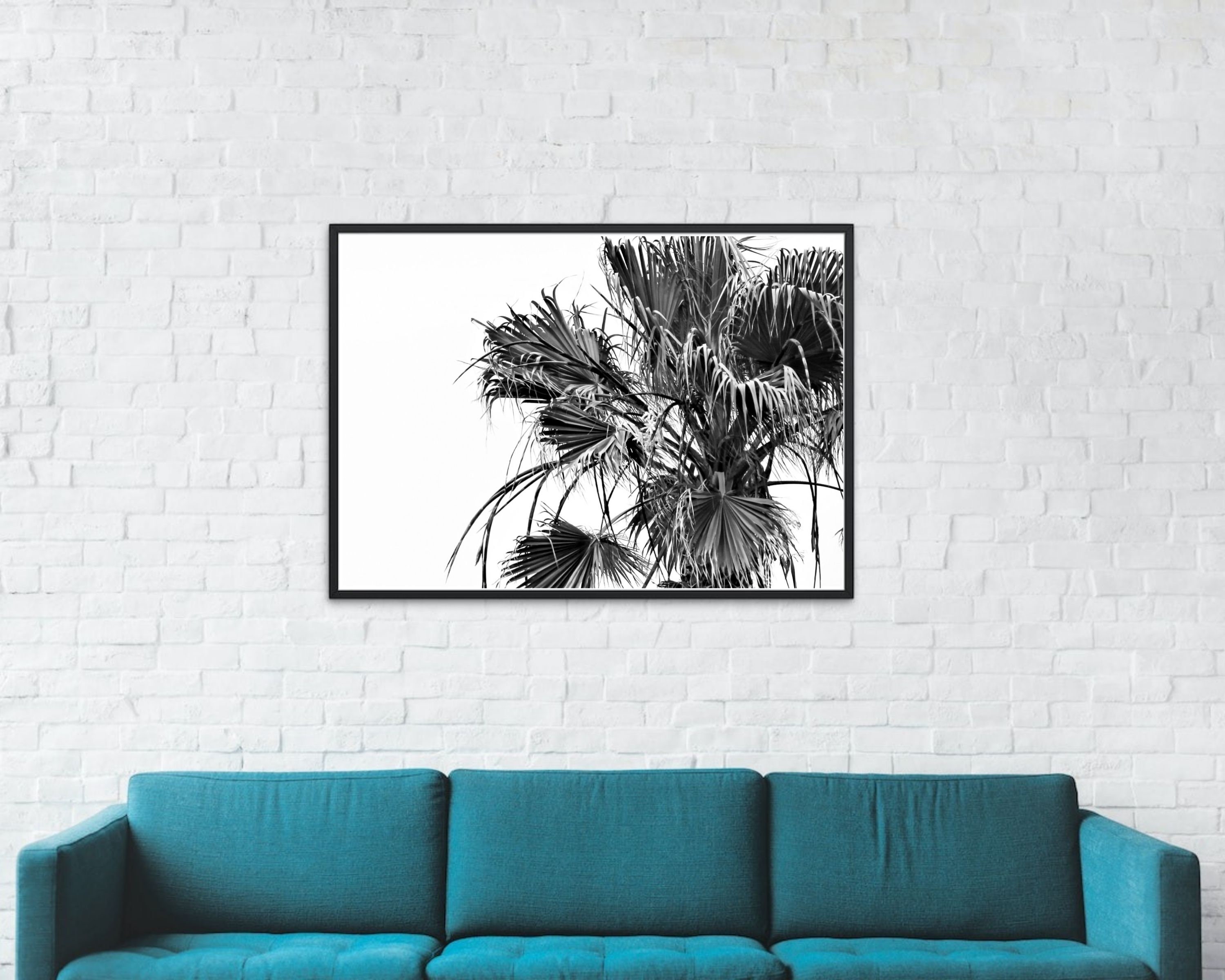 Palm Tree Print Palm Black and White Photography Palm Tree Leaves Art ...