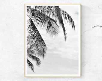 Black And White Palm Print Black White Palm Tree Digital Download Palm Leaves Photography Wall Art Tropical Tree Art Poster Instant Download