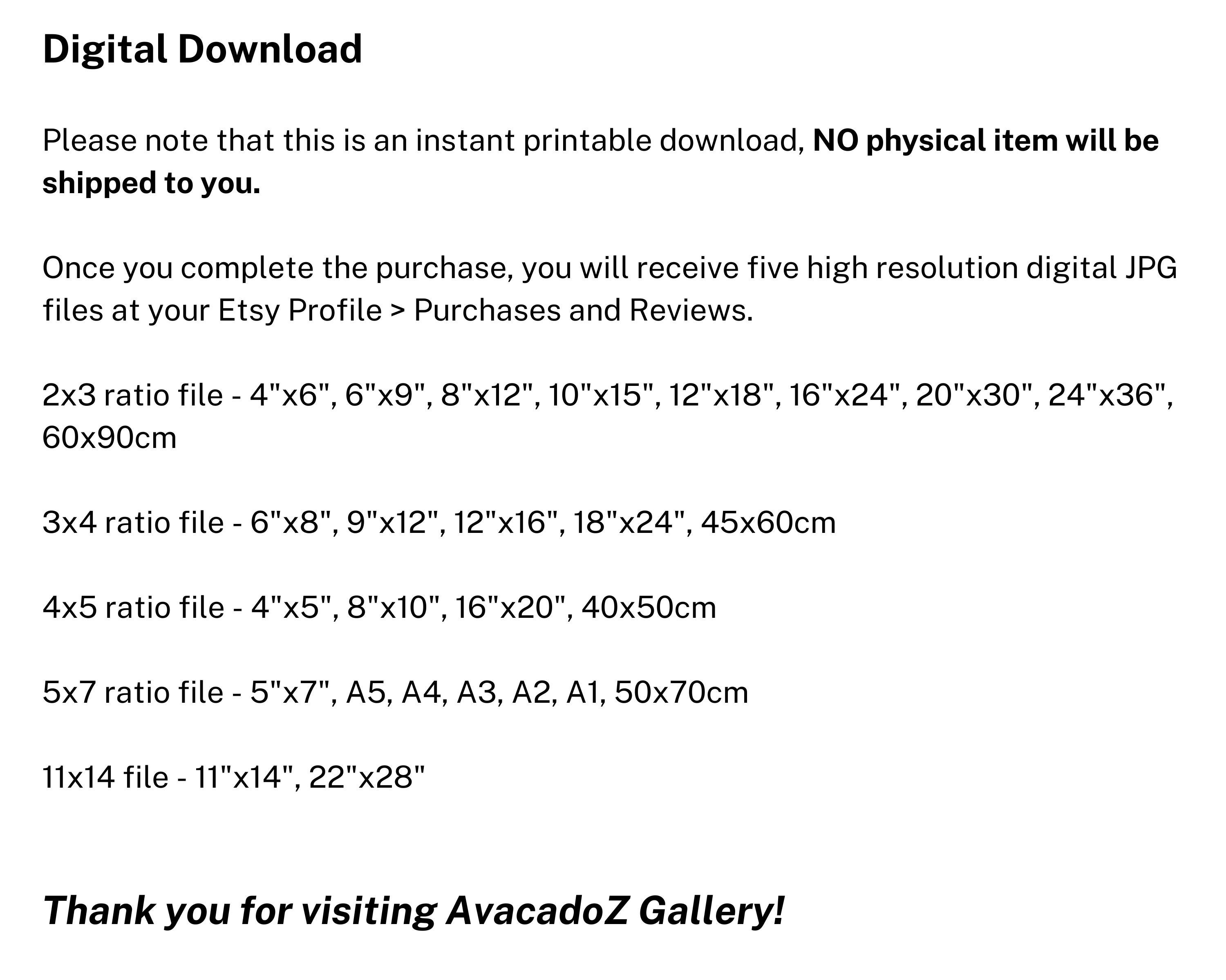 Pink Flower Photography Art Print Light Pink Flower Digital Print