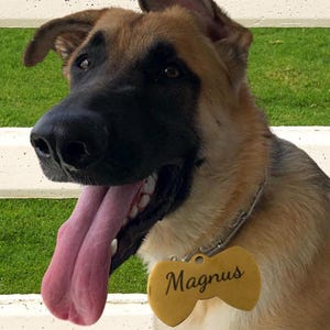 Personalized Pet ID Tag: Custom Engraved Dog Cat Collar Tag