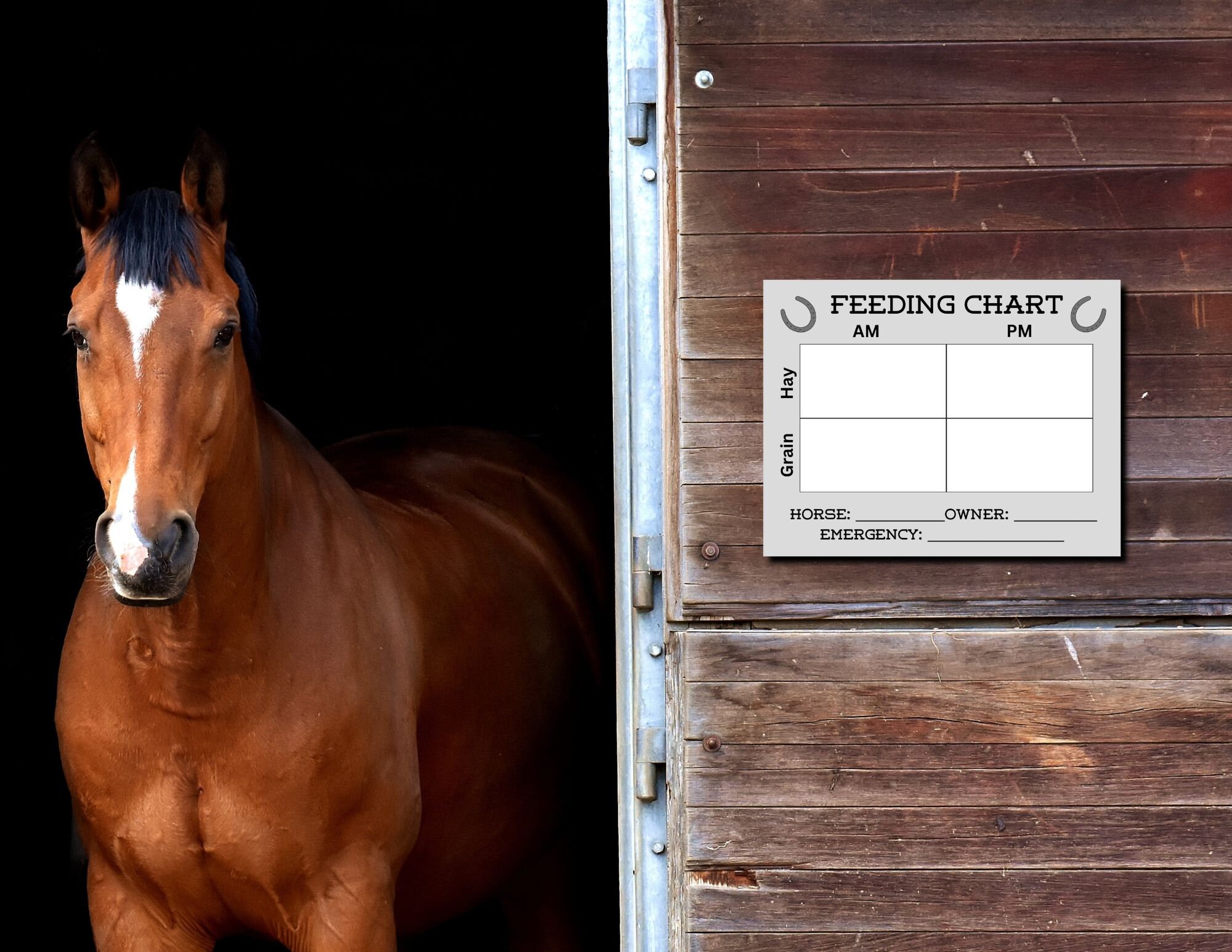 Horse Feeding Chart Digital Download Etsy