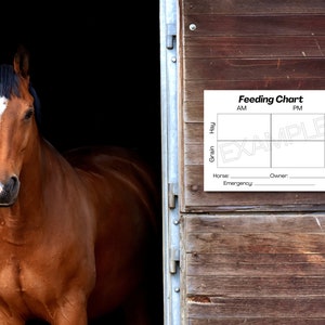 Horse Feeding Chart - Plain -  Digital Download