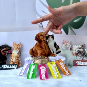 Custom Pet Photo Acrylic Keychain, Personalized  Name Tag, Pet Portrait Keychain, Cat-Dog Keychain,  Pet Memorial Gift, Gift for Pet Lovers