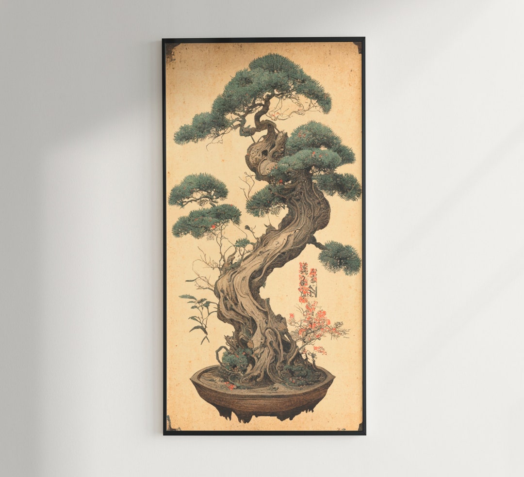Bonsai: A Patient Art 洋書 Bonsai: A Patient Art 洋書 Bonsai: A Patient Art 洋書