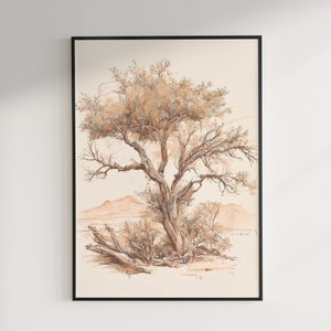 Desert Ironwood Tree, Vintage Sketch and Watercolor