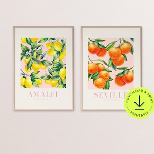 Kitchen fruit prints Citrus Fruit wall art kitchen gallery wall fruit printable lemon kitchen decor printable kitchen lemon print oranges
