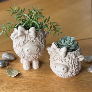 May include: Two light beige planters shaped like shaggy animals with bows on their heads. The larger planter stands on four legs and holds a green leafy plant, while the smaller, rounder planter holds a green succulent plant.