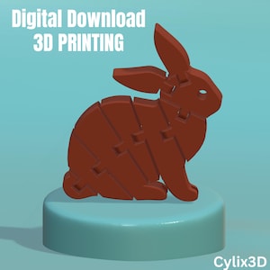 Bunny Rabbit STL File For 3D Printing, Flexi Fidget Toy, Articulated, Print In Place, Keychain Version And Commercial License Included