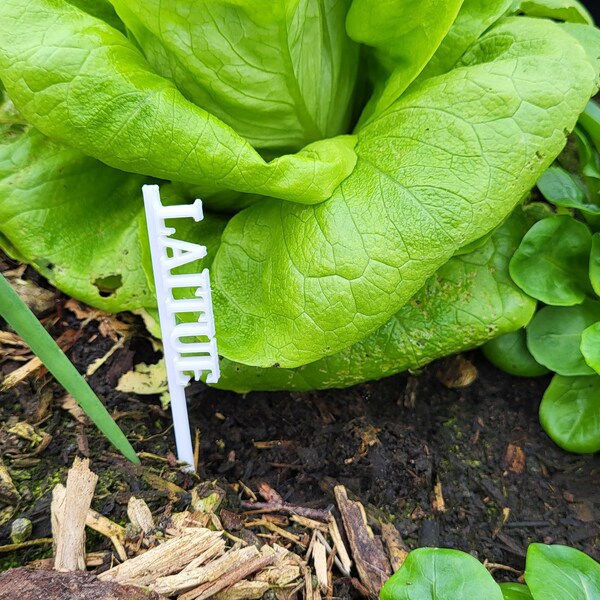 Etiquettes de jardin (lot de 6) pour identifier vos végétaux, légumes et plantes durablement - Impression 3D en bioplastique personnalisable