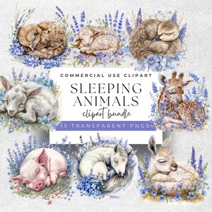 Dreamy Nursery Art - Watercolor Sleeping Baby Animals Clipart - 15 Tranquil PNGs, 300 DPI for Decor